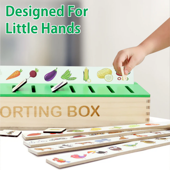 Wooden Sorting Box For Kids